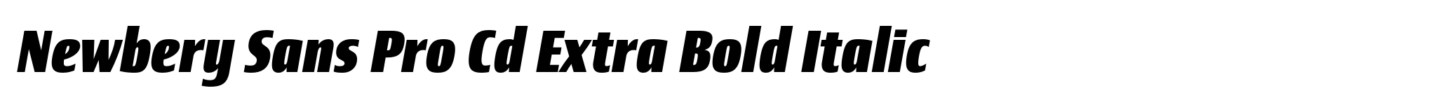 Newbery Sans Pro Cd Extra Bold Italic image